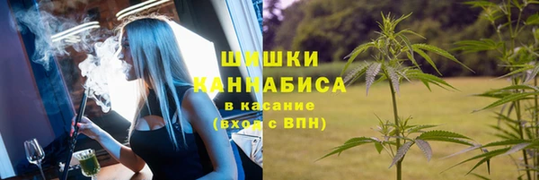 амф Белоозёрский