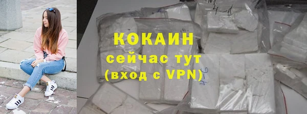 твердый Сосновка