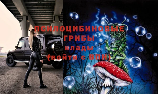 амф Белоозёрский