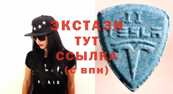 индика Беломорск