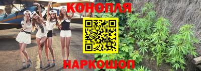 индика Новокубанск