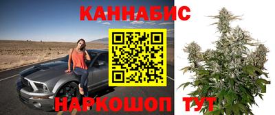 бошки Новодвинск