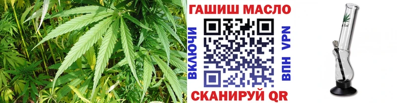 где купить наркоту  Острогожск  darknet как зайти  ТГК концентрат 