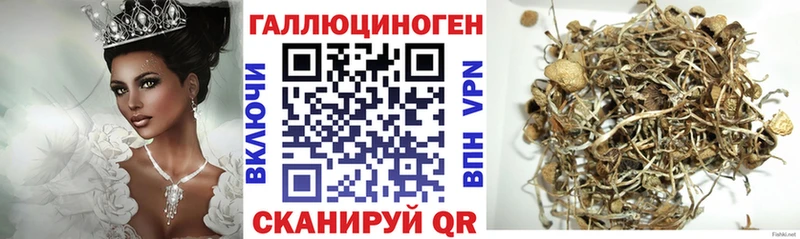 Галлюциногенные грибы прущие грибы  Острогожск 