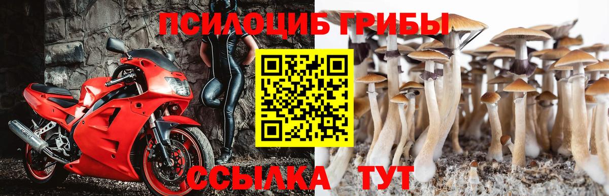 Псилоцибиновые грибы Magic Shrooms Острогожск